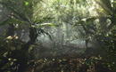Crysis: Remake der berühmt-berüchtigen Jungle Map in Arbeit