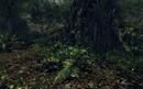 Crysis Warhead: PCGH-exklusive 