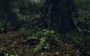 Crysis Warhead: PCGH-exklusive 