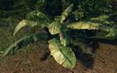 Crysis Wars eine Woche kostenlos testen