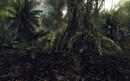Crysis Wars eine Woche kostenlos testen