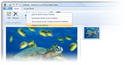 Windows Vista bald mit Ribbon-Interface?