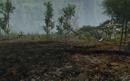 Crysis Warhead: Config bringt HD 4870 bessere Optik - Benchmarks und Bildvergleich