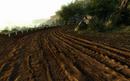 Crysis Warhead: Rygels High-Res-Texturmod mit Vergleichsbildern