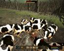 Kein Spaß: Die lustigsten Bugs aus Gothic 3 - Götterdämmerung