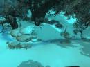 WoW: Wrath of the Lich King - Vergleichsbilder und Benchmarks der Grafikeinstellungen