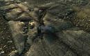 Fallout 3: Benchmark-Test mit dem HD-Texture-Pack