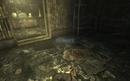 Fallout 3: Benchmark-Test mit dem HD-Texture-Pack
