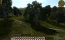 Empire Total War: Praxis-Guide zu Steam, Bugs und den Einheiten der Special Edition