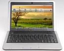 Dell: Linux auf jedem dritten Mini-9-Netbook