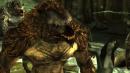 Dragon Age Origins: Kein Securom im Rollenspiel von Bioware