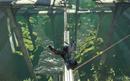 Bionic Commando: Praxis-Test, Engine-Details, atemberaubende Ingame-Screenshots und Nice Price