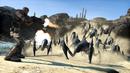 Borderlands: Systemanforderungen enthüllt - Update