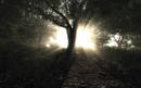 Crysis-Map Etherica: Screenshots nahe dem Fotorealismus