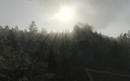 Crysis-Map Etherica: Screenshots nahe dem Fotorealismus