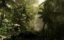 Neue Crysis-Map Ultra Jungle versucht sich an fotorealistischem Dschungel