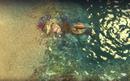 Anno 1404: Ubisoft bittet um Mithilfe beim Save-Bug