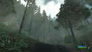 Crysis Widet2: Map mit High-End-Benchmark veröffentlicht