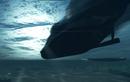 Silent Hunter 5: Stimmige Screenshots aus der Vollversion
