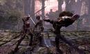 Dark-Fantasy-Schnetzler Hunted: Frisches Video und düstere Screenshots