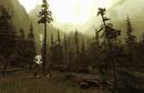 Crysis: Wunderschöne Map mit High-End-Benchmark veröffentlicht