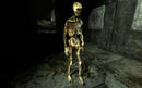 PCGH-Special: Die bekanntesten Shooter-Engines - Teil 1: Source und Lithtech