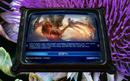 Starcraft 2: Mit Wine 1.2 läuft das neue Strategiespiel auch auf Linux-Rechnern
