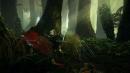 The Witcher 2: Der Entwickler will Raubkopierer per Anwalts-Post anschreiben lassen