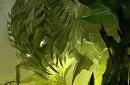 Guild Wars 2: Sammelthread im PCGHX-Forum