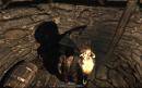 Gothic 4 im Test: Wie gut ist die Demo des Rollenspiels?