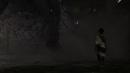 Tokyo Game Show: Videos zum Fantasy-Abenteuer The Last Guardian von Team ICO