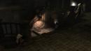 Tokyo Game Show: Videos zum Fantasy-Abenteuer The Last Guardian von Team ICO