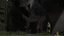 Tokyo Game Show: Videos zum Fantasy-Abenteuer The Last Guardian von Team ICO