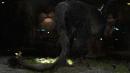 Tokyo Game Show: Videos zum Fantasy-Abenteuer The Last Guardian von Team ICO