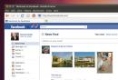 Maverick Meerkat: Neue Ubuntu 10.10-Version mit Multi-Touch-Support