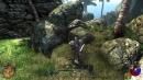 Two Worlds 2: Royal Edition ohne Bonuscodes ausgeliefert