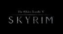 The Elder Scrolls 5 Skyrim (TES 5)