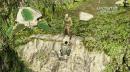 Killzone 3 Open-Beta, The Dark Knight Rises, High-Res-Screenshots zu Sony NGP-Spielen und PSP 2-Spiele im HD-Trailer [Konsolen-News des Tages]