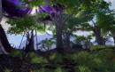 Rift: Früheinsteiger-Phase gestartet, über eine Million Accounts