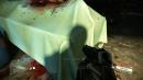 Unionspolitiker verteidigt Preisvergabe an Crysis 2