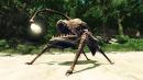 Risen 2 Dark Waters: Piraten, Monster und Magie - Gameplay-Trailer enthüllt die Ansätze der Story