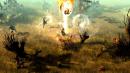 Drakensang Online: Box erscheint in zwei Editionen