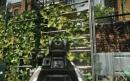 Sniper: Ghost Warrior 2 - Erster Screenshot des Cry-Engine-3-Shooters