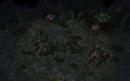 ESET sucht den Starcraft II-Champion 2011 - Preise im Gesamtwert von über 3.500 Euro