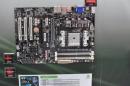 AMD: Bulldozer-Chipsätze für AM3+-Mainboards vorgestellt - Update