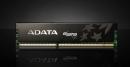 Adata: DRAM-Preise sollen sich Anfang kommenden Jahres erholen