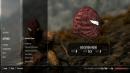Skyrim: Offizieller Patch implementiert 4-GiByte-RAM-Unterstützung [Patch des Tages]
