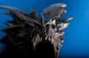The Elder Scrolls 5 Skyrim: User präsentieren die epische Collector's Edition