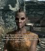 Youtube: Hübsche Maid singt Skyrim-Main-Theme-Cover für Fans