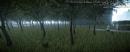 Cryengine 3: Modder präsentieren sehenswerte Wälder, Landschaften und Fußballfelder